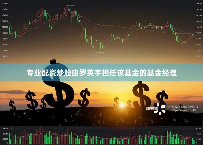 专业配资炒股由罗英宇担任该基金的基金经理