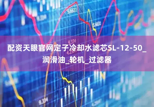 配资天眼官网定子冷却水滤芯SL-12-50_润滑油_轮机_过滤器